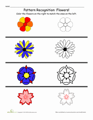 模式和颜色:鲜花