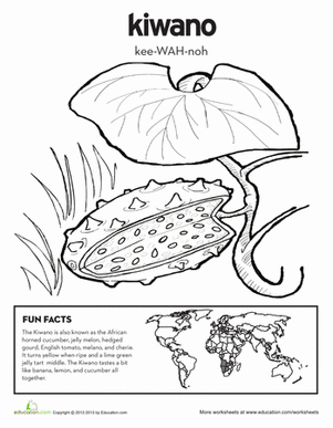 Kiwano Coloring Page