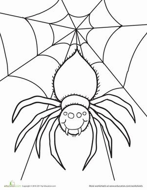 Spider Coloring Page