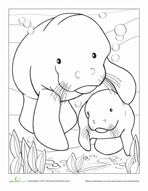 Manatee Coloring Page