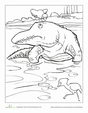 Alligator Coloring Page