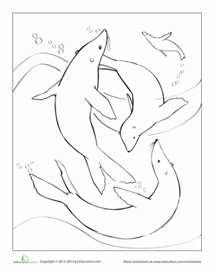 Sea Lions Coloring Page