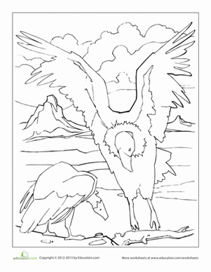 California Condor Coloring Page