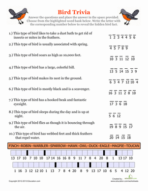 Bird Trivia