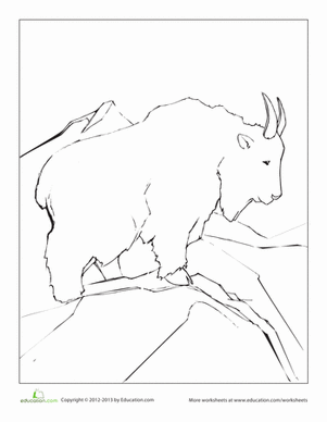 Mountain Goat Coloring Page
