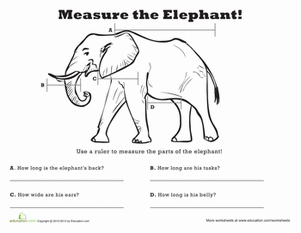 Measure Length: Elephant!