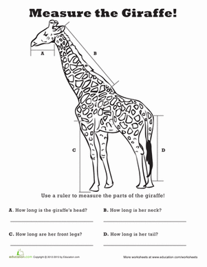 Measure Length: Giraffe!