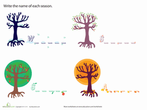 What Are the Seasons?