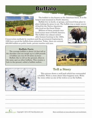 Buffalo Facts