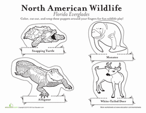 Animal Finger Puppets: Everglades