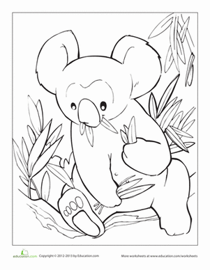 Koala Coloring Page