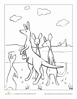 Color the Kangaroo Family