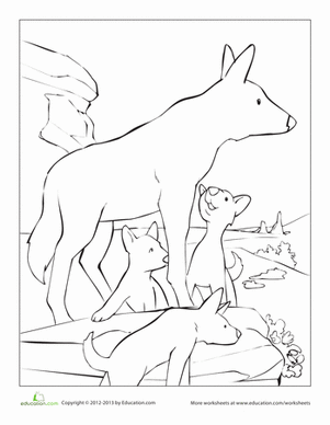 Dingo Coloring Page
