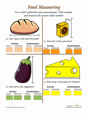 Ruler Measurement #5