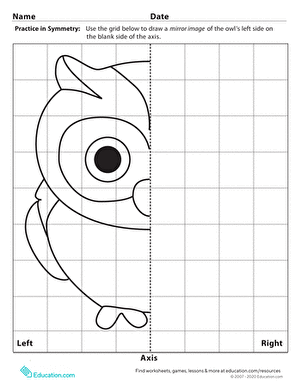 Learning Symmetry: Owl