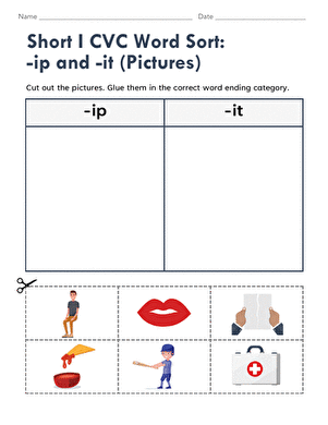 Short I CVC Word Sort: -ip and -it (Pictures)