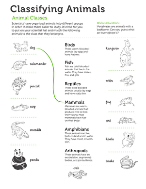 Classifying Animals