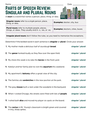 Parts of Speech Review: Singular and Plural Nouns