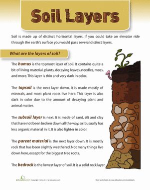 Layers of Soil