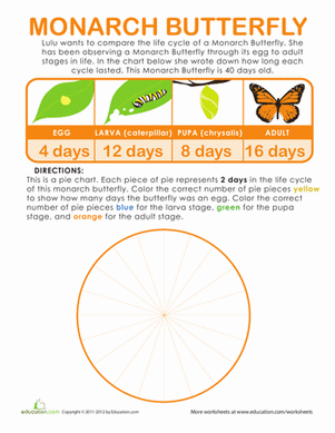 Make a Butterfly Pie Chart!