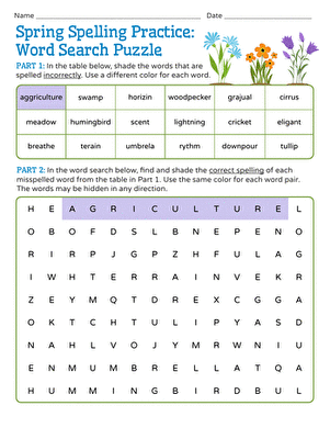 Spring Spelling Practice: Word Search Puzzle