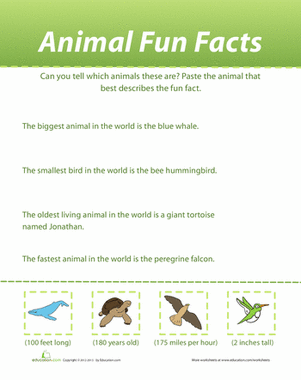 Animal Fun Facts