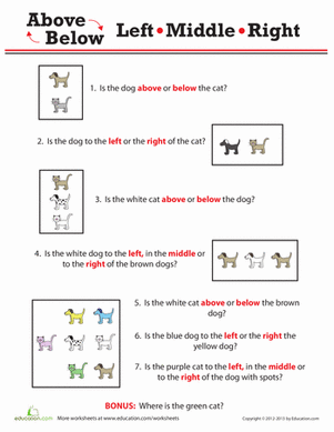 Position Practice