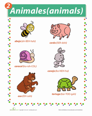 Spanish Names for Animals