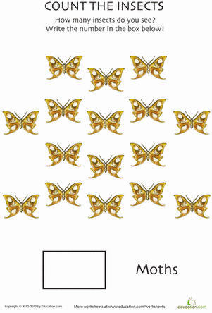 Counting Moths