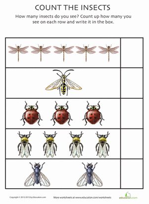 Counting Bugs