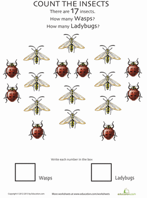 Insect Counting Worksheet: Wasps and Ladybugs