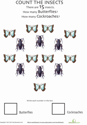 Insect Counting Worksheet: Butterflies and Cockroaches