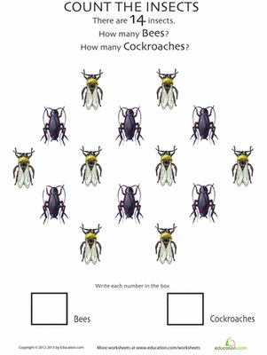Counting Bees and Bugs