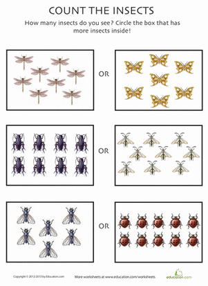 Count the Insects 7