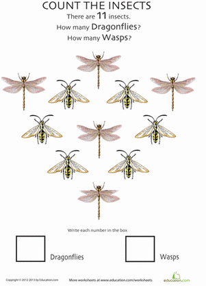 Insect Counting Worksheet: Wasps and Dragonflies