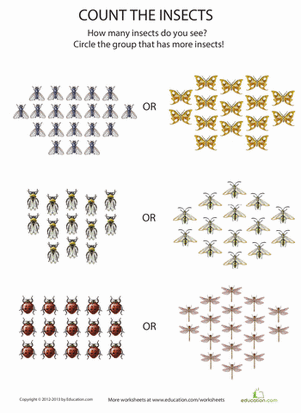 Counting Bugs