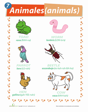 Spanish Vocabulary: Animals