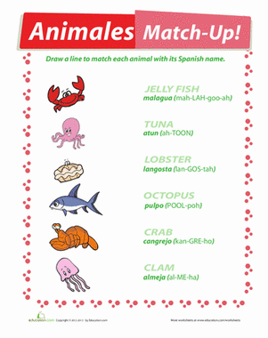 Animales: Match-Up