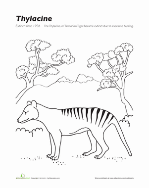Extinct Animals Coloring Page: Thylacine