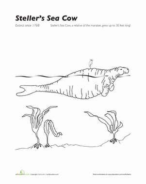 Steller's Sea Cow