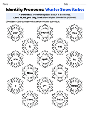 Identify Pronouns: Winter Snowflakes