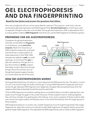 Gel Electrophoresis and DNA Fingerprinting