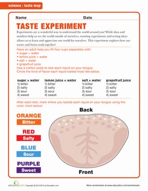 Taste Map
