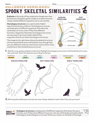 Halloween Homologies: Spooky Skeletal Similarities