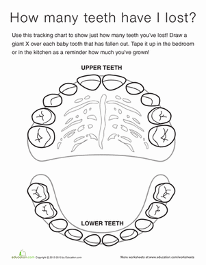 Tooth Chart