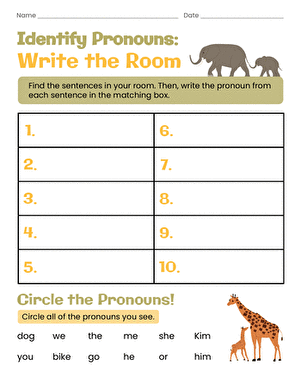 Identify Pronouns: Write the Room