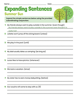Expanding Sentences: Summer Sun