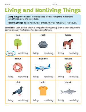 Living and Nonliving Things