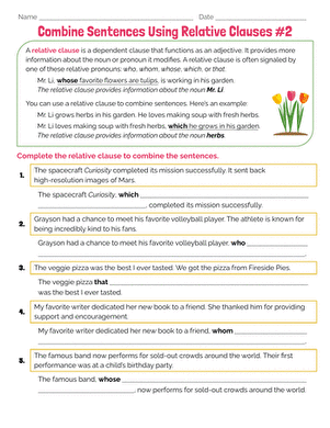 Combine Sentences Using Relative Clauses #2