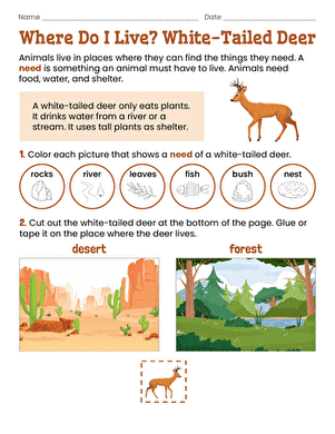 Where Do I Live? White-Tailed Deer